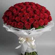 Букет 101 Красная роза Блэк Мэджик в Юрцово