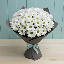 Букет цветов из:  Хризантемы в Юрцово