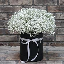 Цветочная композиция из Гипсофила в шляпной коробке в Юрцово