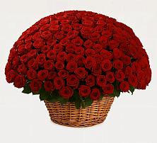 Премиум букет из: Розы в Юрцово